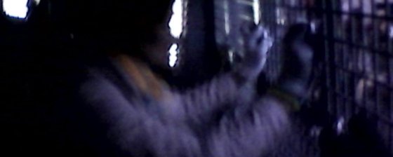 На акции в поддержку Надежды Савченко задержано 39 человек