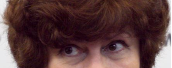 Выдержка из прений в деле Удальцова и Развозжаева