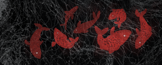 Дело «Сети» в Пензе. Апелляция