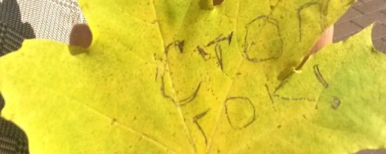 Уголовно-обогатительное: картина конфликта между властями Челябинской области и экологами