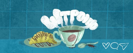 «Жизнь сейчас напоминает сюр». Москвичку оштрафовали за «дискредитацию» армии после спора в кафе об Украине