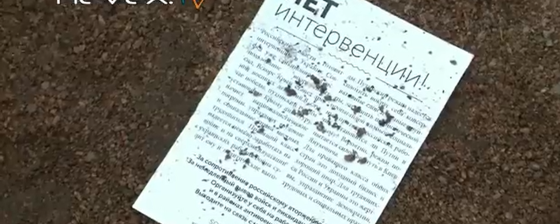 Украина как повод