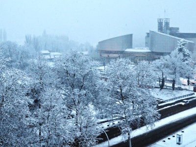      Сроки, деньги, судебные издержки: решения Европейского суда по «митинговым» делам
    
