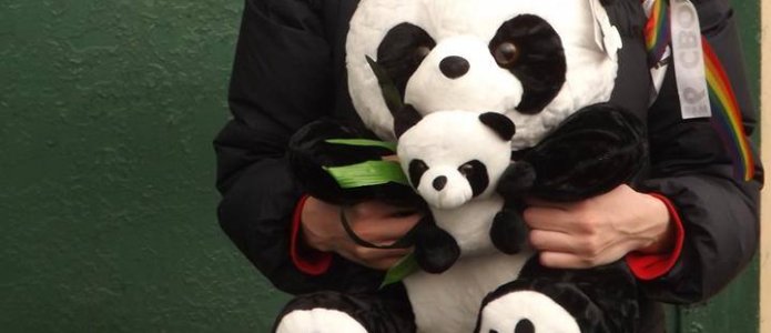 Этот год будет действительно Новым