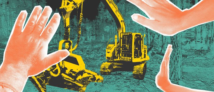 «Настало время вернуть долги природе»: как активисты «реполитизируются» через защиту своих лесов